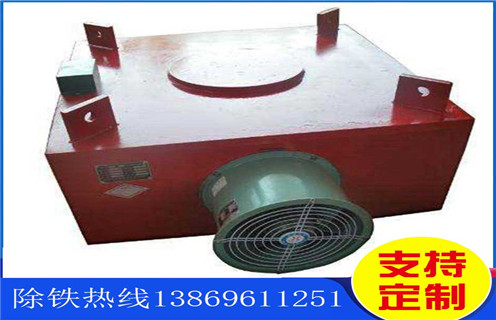 風冷電磁草莓成视频人APP下载特点，廣西風冷自卸式電磁草莓成视频人APP下载特点_廣西風冷自卸式電磁草莓成视频人APP下载特点工作原理及內部結構